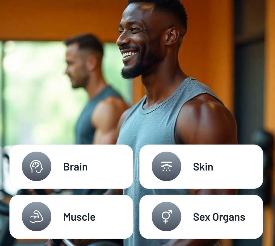 The influence of Testosterone